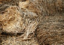 Top Tips For Long-Term Bulk Grain Storage
